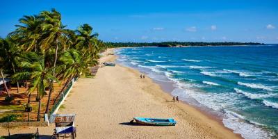 Over 43,000 tourists visit Sri Lanka in early June