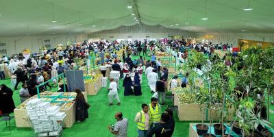 What’s On in Qatar: Top Things to Do This Weekend (June 25–28, 2025)