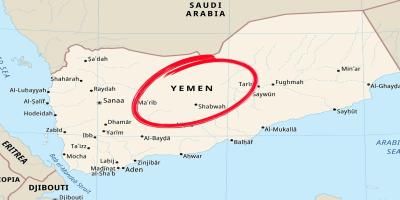 Yemen Launches New e-Visa System to Modernize Travel and Boost Foreign Access