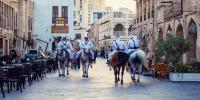 When to Visit Qatar: Weather, Festivals, Top Attractions & Travel Tips
